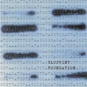 Bluprint: Foundation