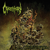 Decimation Of Fear by Dysentery