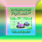 Topographic Relief Vol 6