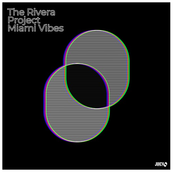 Miami Vibes