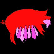 Death To The Babyboomers