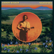 Jarrod Walker: Nighthawk
