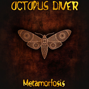 Metamorfosis