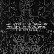 Sacrifice At The Altar Of The Satanic Blood Angel