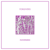 Forgivers: Flowerseeds