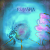 Kumara