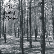 With The Sound Of Rain