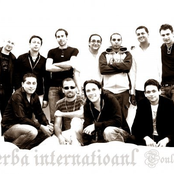 djerba international