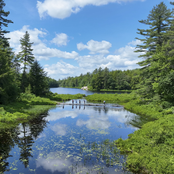 Camp O Summer '22 Mix