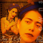 Lila Downs: Tree Of Life