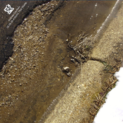 05.09.28 A World That Works [tpd065]