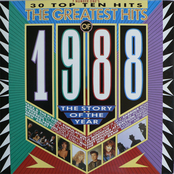 The Greatest Hits Of 1988