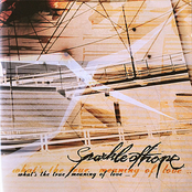 What's the True Meaning of Love...