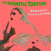 Perverse Copulation