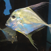 Give Everybody Their Space