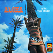 Aloha!