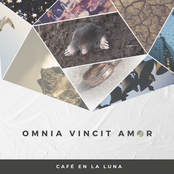 Omnia Vincit Amor