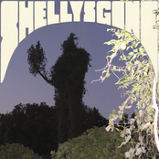 Surface to Air Missive