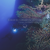 Flores Veritatis - Single