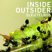 Inside Outsider