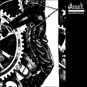 The Perpetual Cycle by Assück