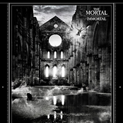 IMMORTAL (live)