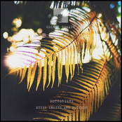 Music Inside And Outside