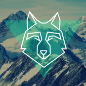 Gray Wolf (single)
