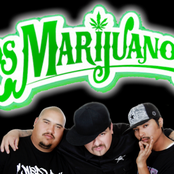 los marijuanos