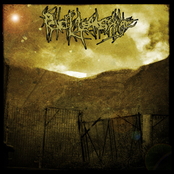 A Loss of Orientation