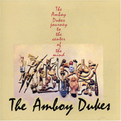 Baby Please Don't Go by The Amboy Dukes