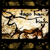 Bison