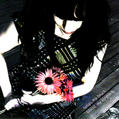 Lungs, My Heart. Blood, My Stomach