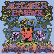 Higher Power: Absolute Bloom