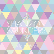 Silly Little Things by Shannon Saunders