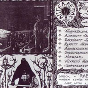 Fenyerzekenyek Savjai