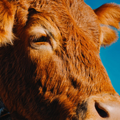 Come sbagliare di meno