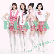 플레야 보이
