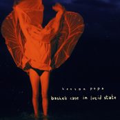 Basket Case in Lucid State