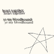 Yr My Bloodhound - Single