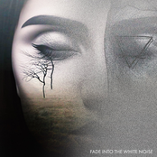 Fade into the White Noise