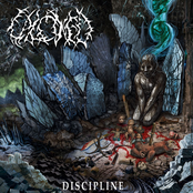 Discipline