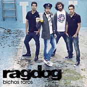 Ragdog - Bichos Raros