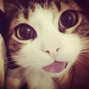 weirdo