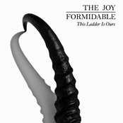 Cholla by The Joy Formidable