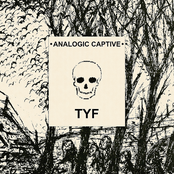 analogic captive