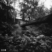 Fishing In an Empty Stream - Single