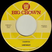 Please Love Me Again