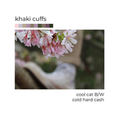 Cool Cat B/W Cold Hard Cash