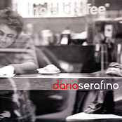 Dario Serafino